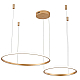 Подвесной светильник Zortes RINGOLIGHT ZRS.33320.63F