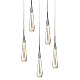 Подвесной светильник Delight Collection Pour MD-023B-5 chrome