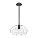 Подвесной светильник Hinkley Lotus QN-LOTUS-P-BLK
