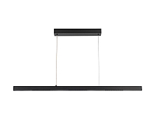 Подвесной светильник Arte Lamp Lao A2190SP-1BK