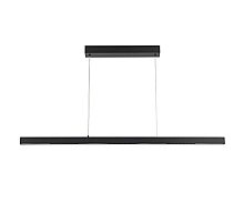 Подвесной светильник Arte Lamp Lao A2190SP-1BK