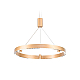 Подвесной светодиодный светильник Ambrella light Comfort Line FL5846