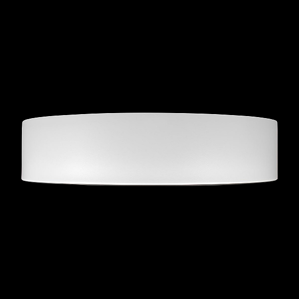Потолочный светильник Loft it Coin 10202 WB