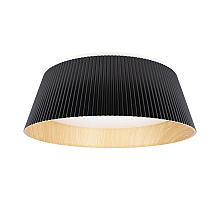 Потолочный светильник Loft IT Evans 10224 Black