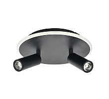 Настенно-потолочный светильник Escada 20046SMA/02LED BK