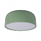 Потолочный светодиодный светильник Loft IT Axel 10201/350 Green