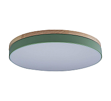 Потолочный светильник Loft IT AXEL 10001/36 Green