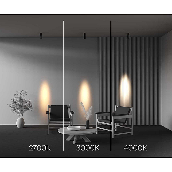 Потолочный светильник Maytoni Technical C055CL-L12W4K-SS-B