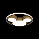 Потолочный светодиодный светильник Loft It Mike 10167