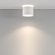 Потолочный светильник Maytoni Technical C120CL-GX53-W