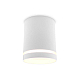 Потолочный светильник Ambrella light Techno TN3202