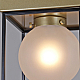 Потолочный светильник ILLUMICO IL0050-1C-79