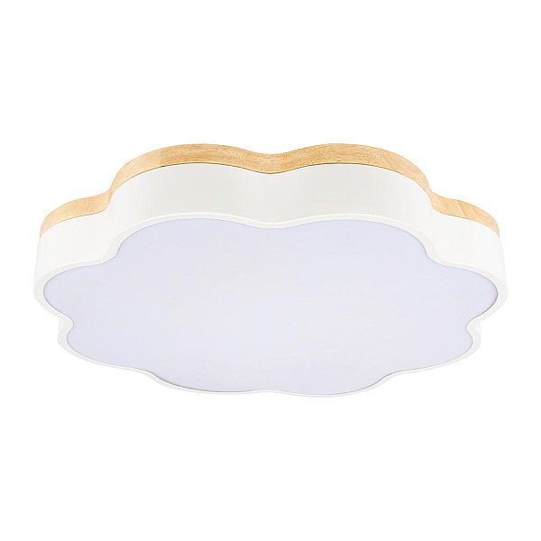 Потолочный светодиодный светильник Loft IT Axel 10225/36 White