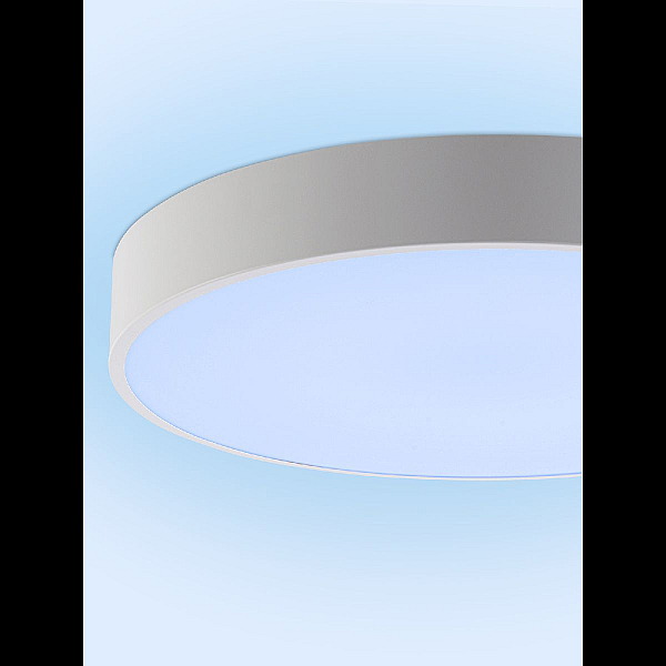Потолочный светильник Natali Kovaltseva Modern LED LAMPS 81105/1C