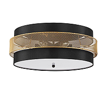 Потолочный светильник Lumion Animaisa 8003/6C