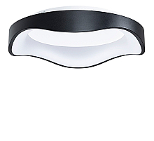 Потолочный светильник Arte Lamp Ankaa A3085PL-48BK