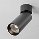 Потолочный светильник Maytoni Technical C055CL-L12W3K-SS-B