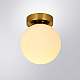 Потолочный светильник Arte Lamp Alcor A2224PL-1PB