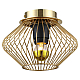Потолочный светильник Lussole Loft Brooks GRLSP-8248