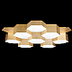 Потолочный светодиодный светильник Lightstar Favo 750161