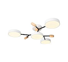 Потолочный светильник Freya Crown FR6119CL-L48W