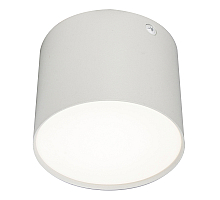 Потолочный светильник 20004 20004SMU/01LED SWH