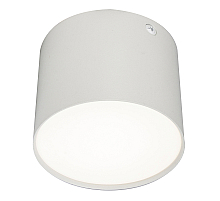 Потолочный светильник 20004 20004SMU/01LED SWH