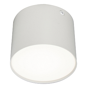 Потолочный светильник 20004 20004SMU/01LED SWH