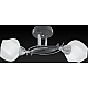 Потолочный светильник Toplight Lia TL7380X-02BC