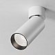 Потолочный светильник Maytoni Technical C055CL-L12W4K-SS-W