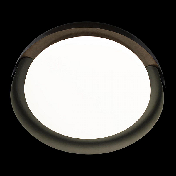 Потолочный светодиодный светильник Loft IT Coin 10198 Black