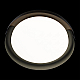 Потолочный светодиодный светильник Loft IT Coin 10198 Black