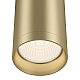 Потолочный светильник Maytoni Focus C010CL-01MG