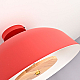 Потолочный светильник ImperiumLoft Globemi 307159-26