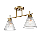 Потолочная люстра Lumion Comfi Vivian 8188/2C
