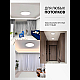 Потолочный светильник Natali Kovaltseva Plain LED LAMPS 81114/2C