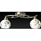 Потолочный светильник Toplight Georgia TL7480X-02AB