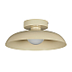 Потолочный светильник Myfar Bjorn MR2674-1CL