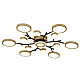 Потолочный светодиодный светильник F-Promo Hybrid 4686-13C