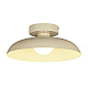 Потолочный светильник Myfar Bjorn MR2674-1CL
