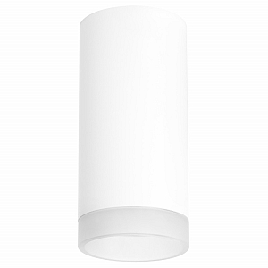 Потолочный светильник Lightstar RULLO R648680 (216486+202480)
