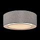 Потолочный светильник Maytoni Bergamo MOD613CL-04GR