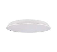 Потолочный светильник Loft IT Brim 10226 White