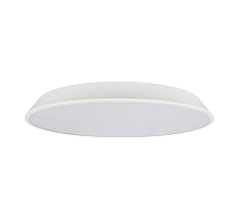 Потолочный светильник Loft IT Brim 10226 White