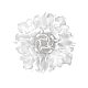 Потолочный светильник Loft IT Clizia 10594/530C White