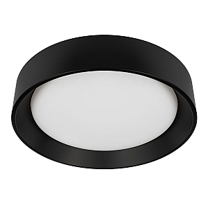 Потолочный светильник Loft IT Coin 10202 BB