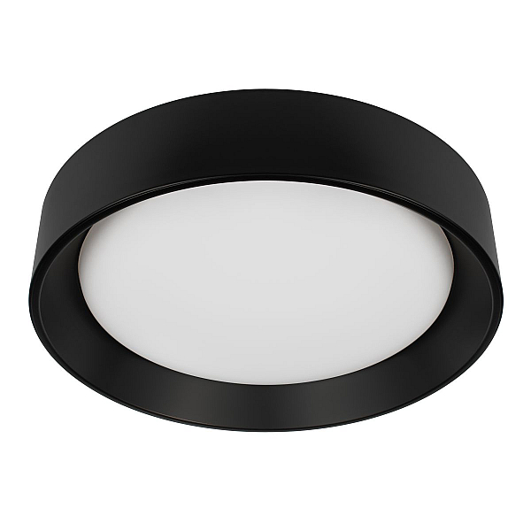 Потолочный светильник Loft it Coin 10202 BB