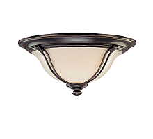 Потолочный светильник Cloyd Gaul 10238