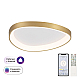 Потолочный светодиодный светильник Citilux Genka Smart CL756A142