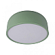 Потолочный светодиодный светильник Loft IT Axel 10201/350 Green